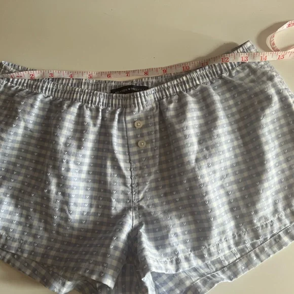 Brandy Melville One Size Light Blue Keira Gingham Shorts - Picture 6 of 7